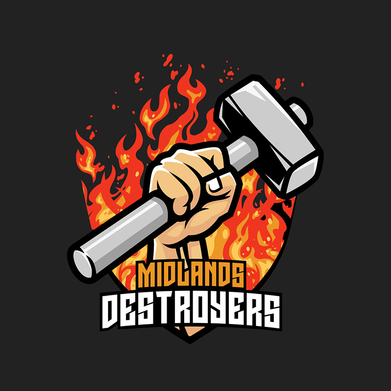 Midlands Destoyers logo